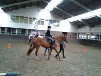 /album/the-best-pony/camera-marjan-2553-jpg/